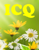 ICQ для HTC